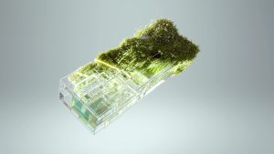 The Unexpected Benefits of Digital Decluttering