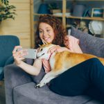 Finding Your Ikigai: The Japanese Secret to a Happy Home