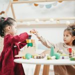 The Role of Civic Education in Democracy Building