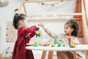 The Role of Civic Education in Democracy Building