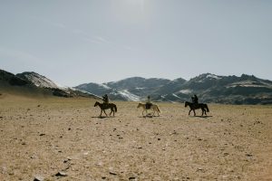 Exploring Desert Landscapes Through Guided Travel Experiences