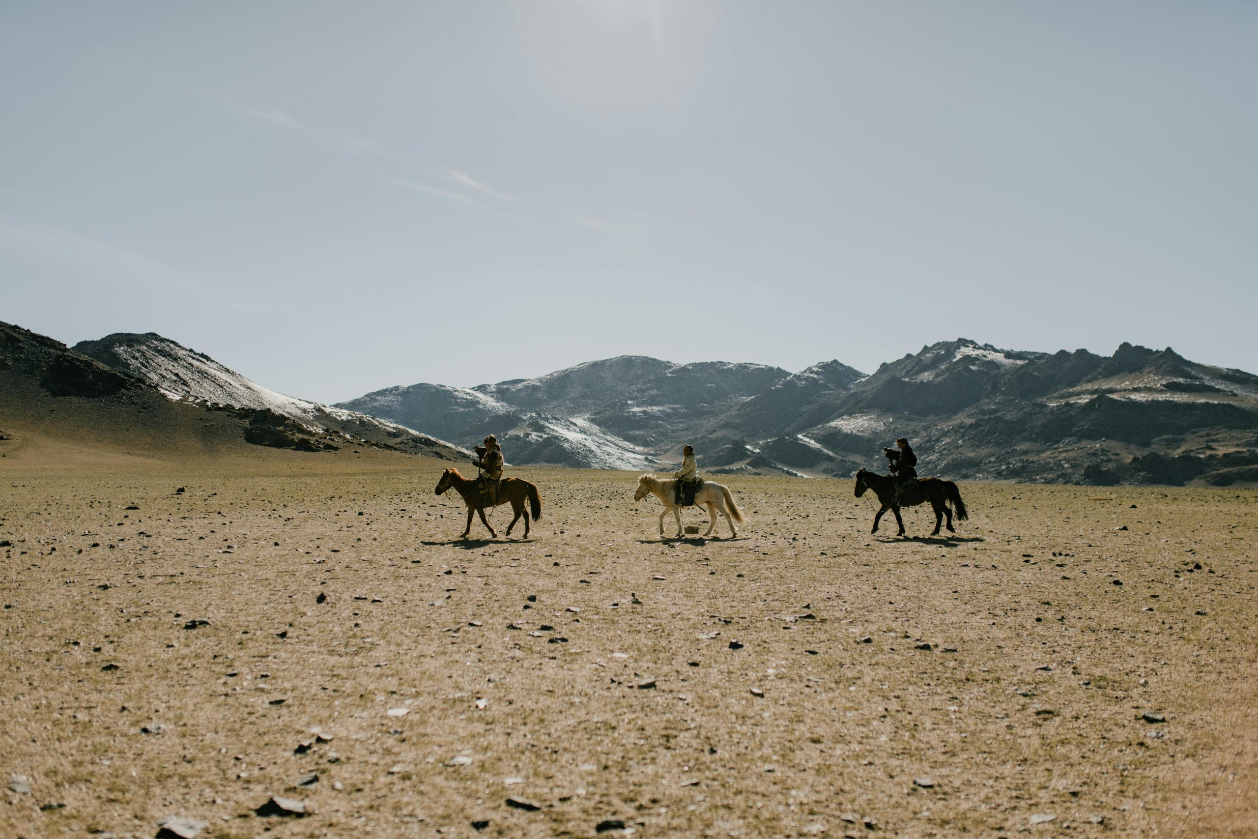 Exploring Desert Landscapes Through Guided Travel Experiences