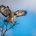 Unlocking Your Inner Compass for Life's Big Decisions