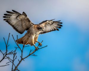 Unlocking Your Inner Compass for Life's Big Decisions