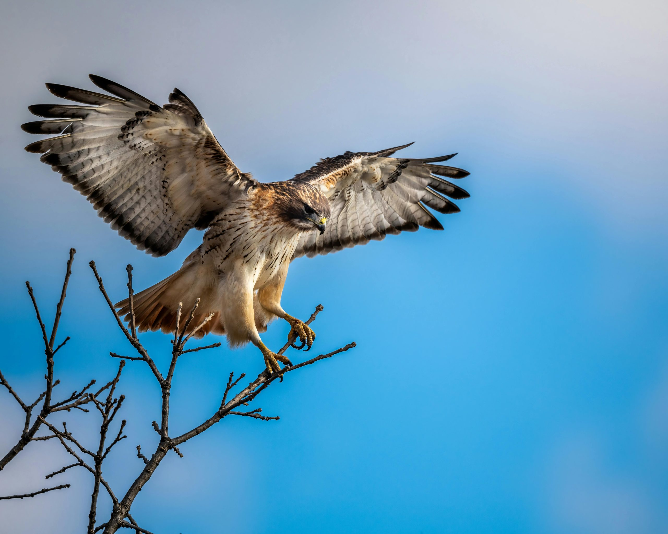 Unlocking Your Inner Compass for Life's Big Decisions