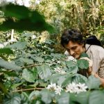 Reconnecting With Nature: A Beginner's Guide to Biophilia