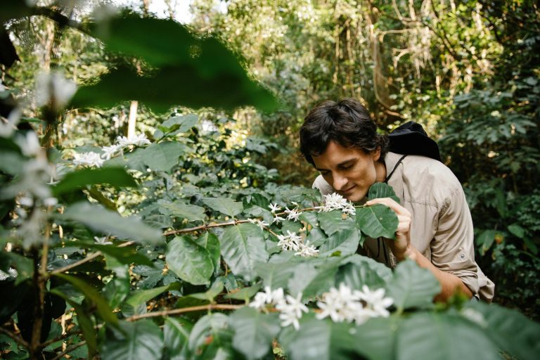 Reconnecting With Nature: A Beginner's Guide to Biophilia