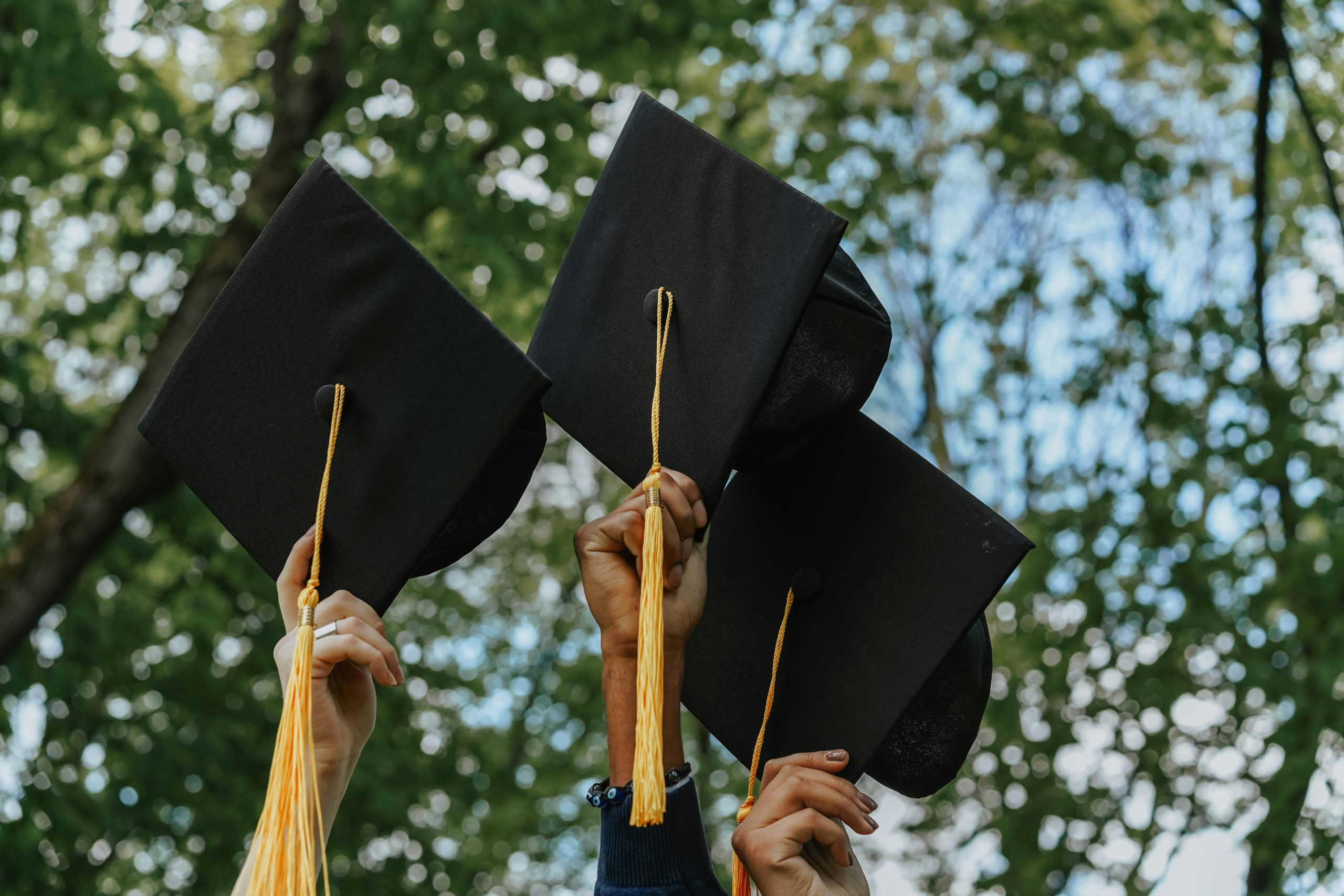 Programs Supporting First-Generation Students in Higher Education